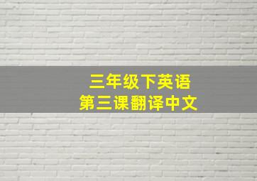 三年级下英语第三课翻译中文