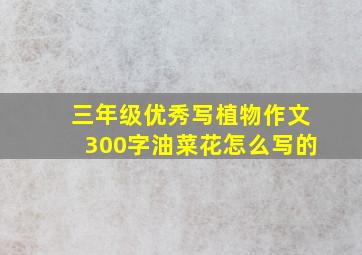 三年级优秀写植物作文300字油菜花怎么写的