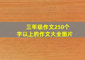 三年级作文250个字以上的作文大全图片