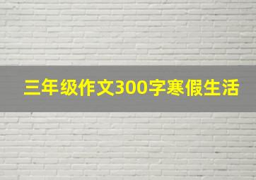 三年级作文300字寒假生活