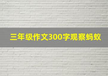 三年级作文300字观察蚂蚁