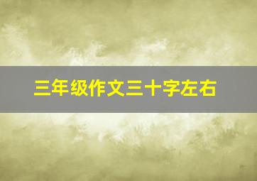 三年级作文三十字左右