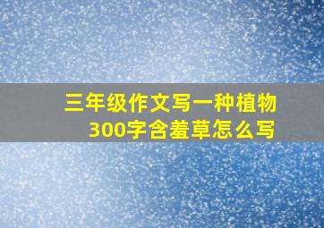 三年级作文写一种植物300字含羞草怎么写