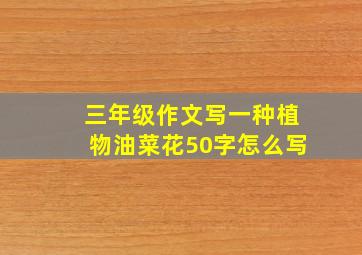 三年级作文写一种植物油菜花50字怎么写