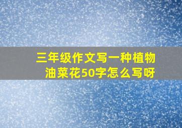 三年级作文写一种植物油菜花50字怎么写呀