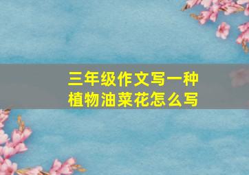 三年级作文写一种植物油菜花怎么写