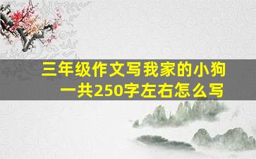 三年级作文写我家的小狗一共250字左右怎么写