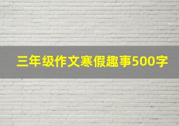 三年级作文寒假趣事500字