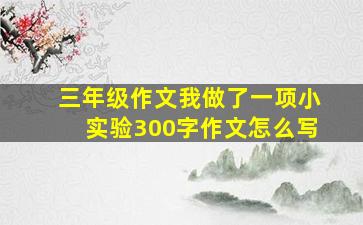 三年级作文我做了一项小实验300字作文怎么写