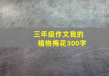 三年级作文我的植物梅花300字