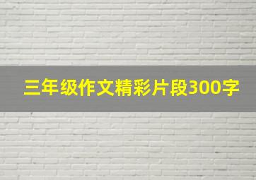 三年级作文精彩片段300字