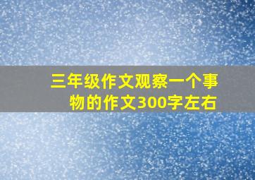 三年级作文观察一个事物的作文300字左右