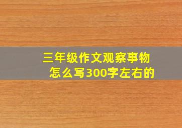 三年级作文观察事物怎么写300字左右的