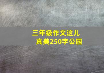 三年级作文这儿真美250字公园