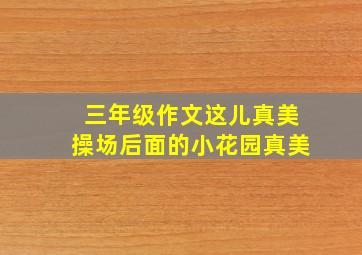 三年级作文这儿真美操场后面的小花园真美