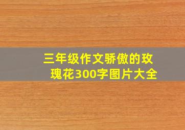 三年级作文骄傲的玫瑰花300字图片大全