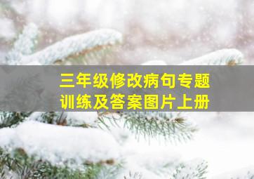 三年级修改病句专题训练及答案图片上册