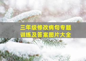 三年级修改病句专题训练及答案图片大全