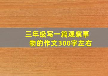 三年级写一篇观察事物的作文300字左右