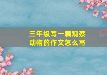 三年级写一篇观察动物的作文怎么写