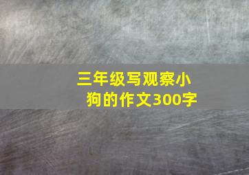 三年级写观察小狗的作文300字