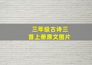 三年级古诗三首上册原文图片