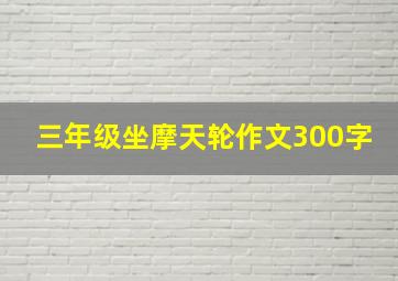 三年级坐摩天轮作文300字