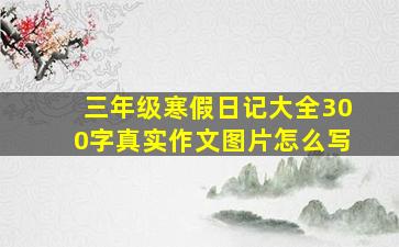 三年级寒假日记大全300字真实作文图片怎么写