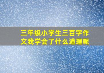 三年级小学生三百字作文我学会了什么道理呢