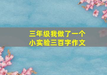 三年级我做了一个小实验三百字作文