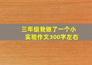 三年级我做了一个小实验作文300字左右