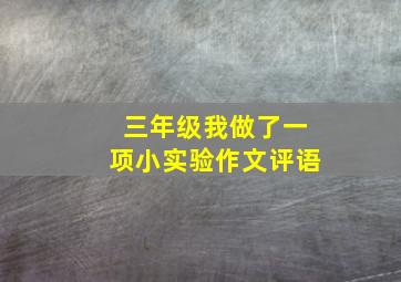 三年级我做了一项小实验作文评语