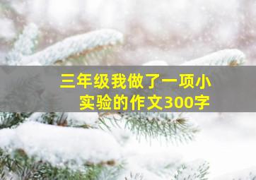 三年级我做了一项小实验的作文300字