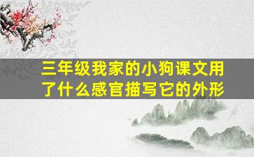 三年级我家的小狗课文用了什么感官描写它的外形