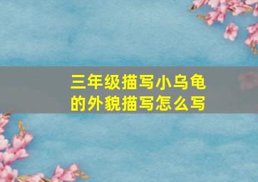 三年级描写小乌龟的外貌描写怎么写