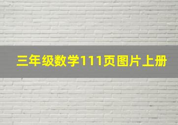 三年级数学111页图片上册