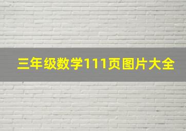 三年级数学111页图片大全