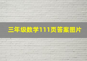 三年级数学111页答案图片