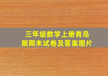 三年级数学上册青岛版期末试卷及答案图片