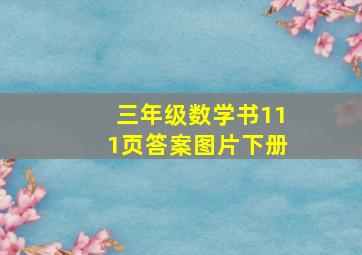 三年级数学书111页答案图片下册