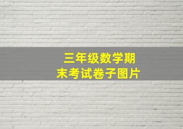 三年级数学期末考试卷子图片