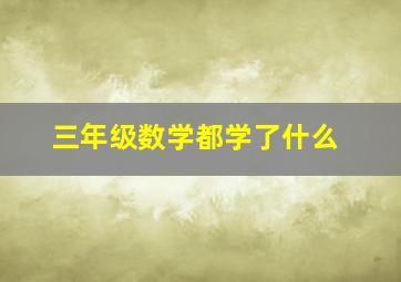 三年级数学都学了什么