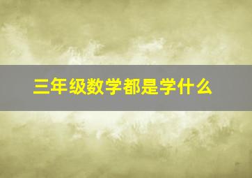 三年级数学都是学什么