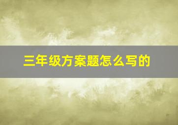 三年级方案题怎么写的