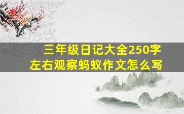 三年级日记大全250字左右观察蚂蚁作文怎么写