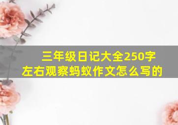 三年级日记大全250字左右观察蚂蚁作文怎么写的