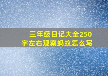 三年级日记大全250字左右观察蚂蚁怎么写