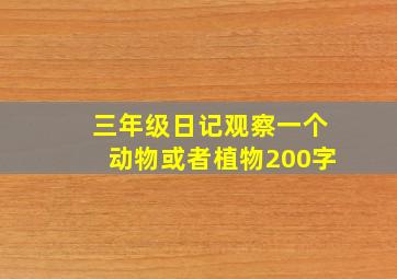 三年级日记观察一个动物或者植物200字