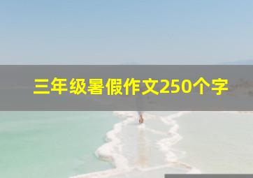 三年级暑假作文250个字