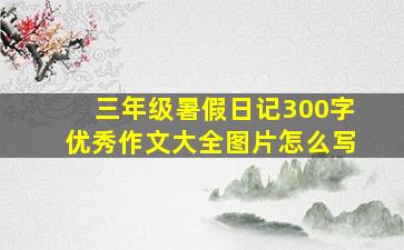 三年级暑假日记300字优秀作文大全图片怎么写